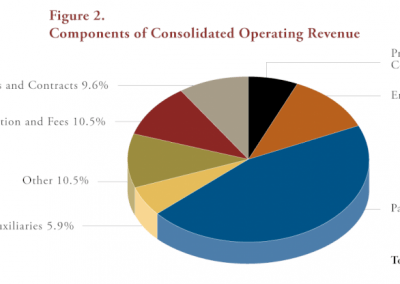 Figure 2. Components of Consolidated Operating Revenue